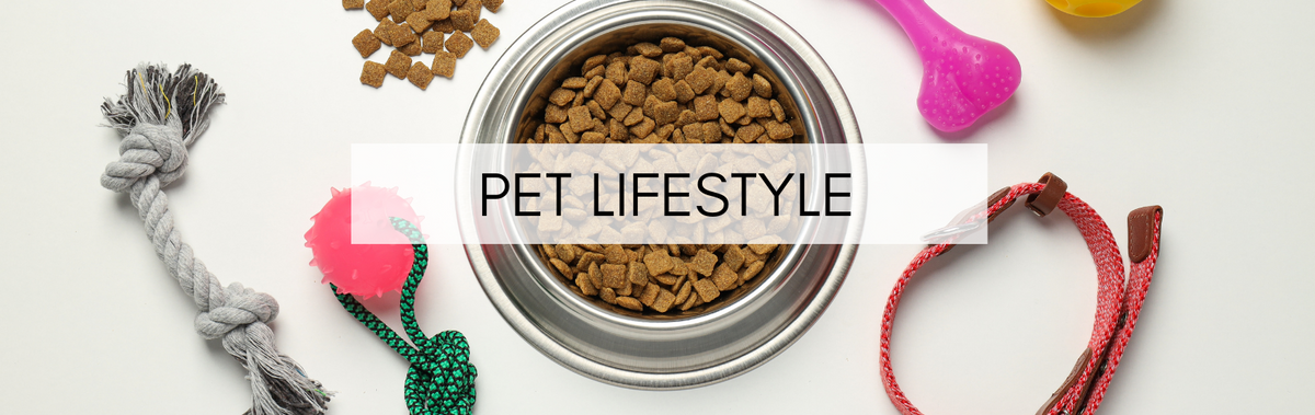 Pet Lifestyle