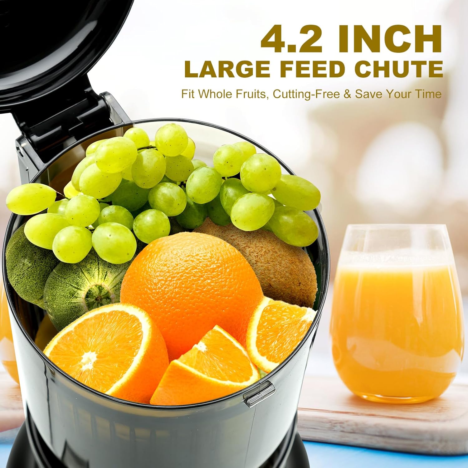 Cold Press Juicer – Slow Masticating, Large Capacity, Dual Filters