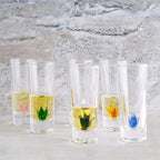 Tequila Decanter Tequila Glasses Set with Agave Decanter and 6 Agave Sipping Shot Glass, Perfect for Gifts for Tequila Lovers, 25 Ounce Bottle, 3 Ounce Tequila Party Decorations Cinco De Mayo (Agave)-3