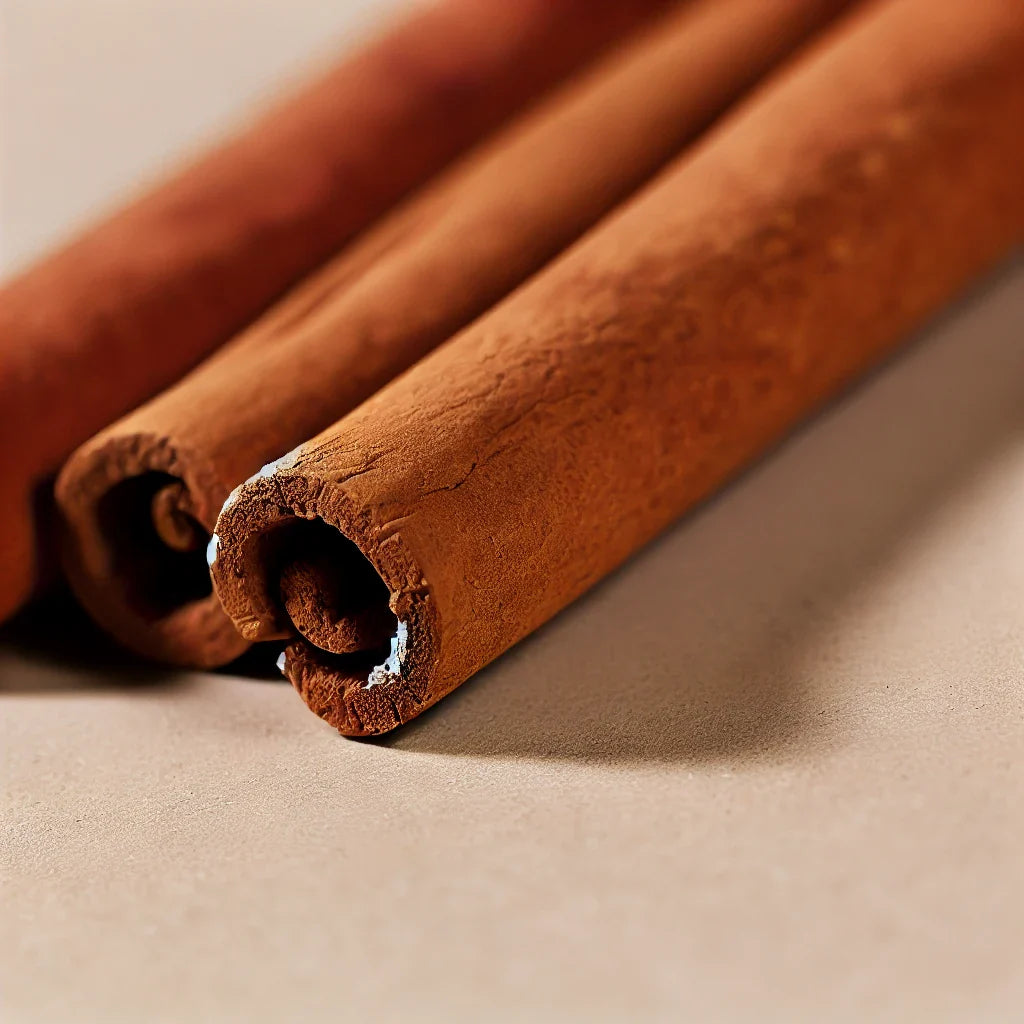 Cinnamon Sticks 10" (Cinnamomum Burmannii)-1