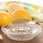 Handheld Glass Citrus Juicer-2
