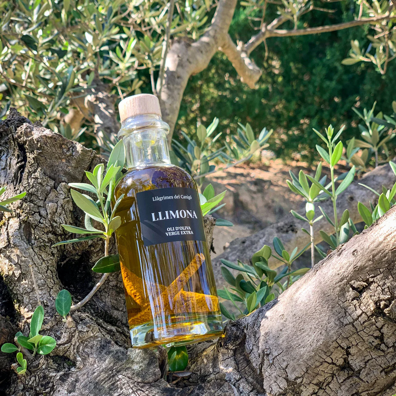 Lemon Infused Extra Virgin Olive Oil – 250ml / 8.45 fl oz – Llàgrimes del Canigó-2