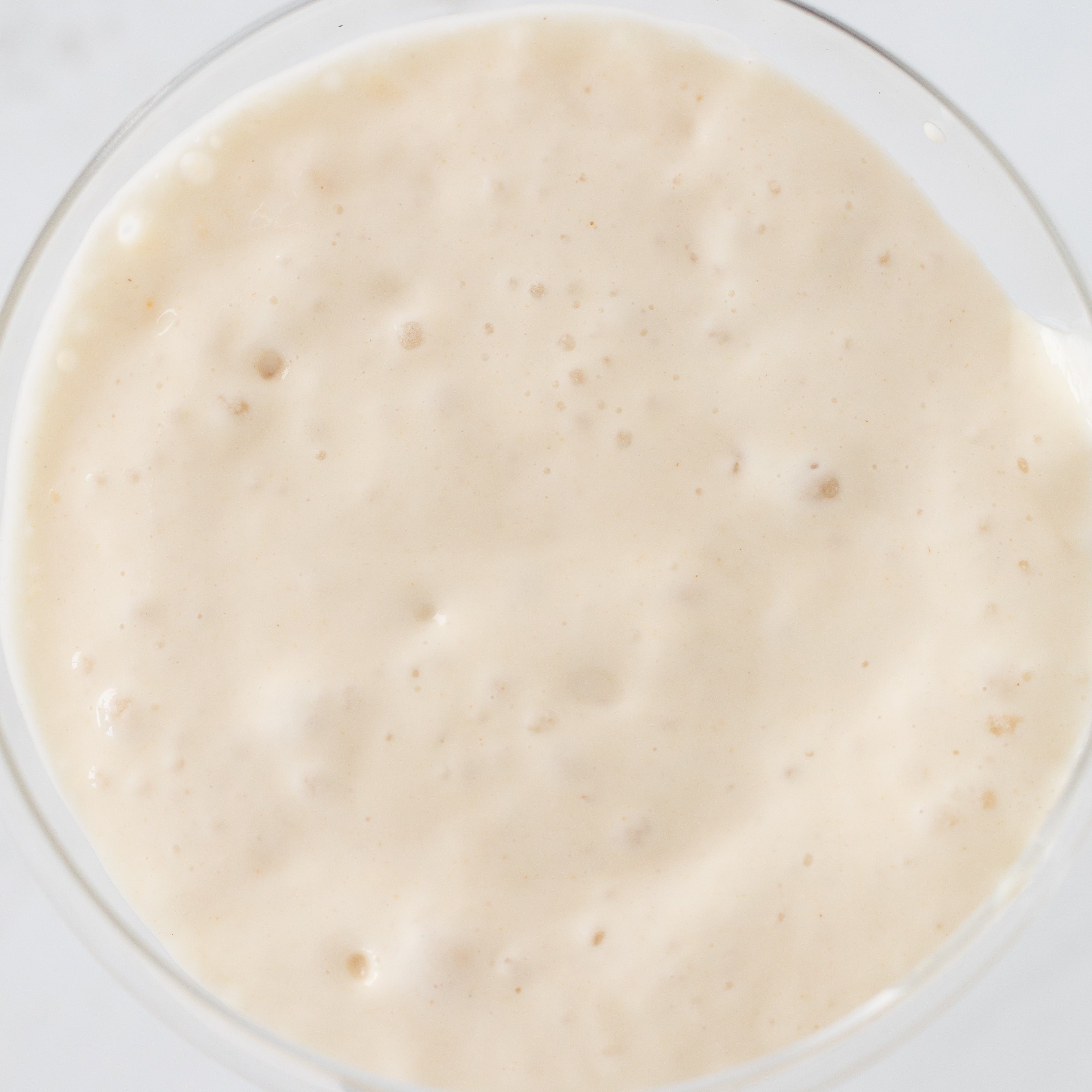 Dough in bowl for Sourdough Breadmaking