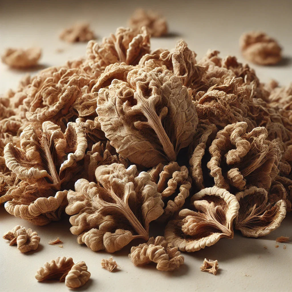 Walnut Septum Pieces (Juglans Regia)-1