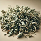White Tea (Camellia Sinensis)-1
