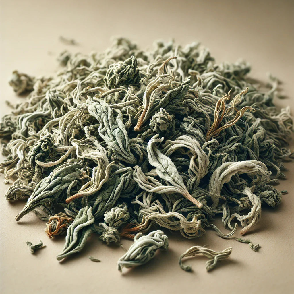 White Tea (Camellia Sinensis)-1