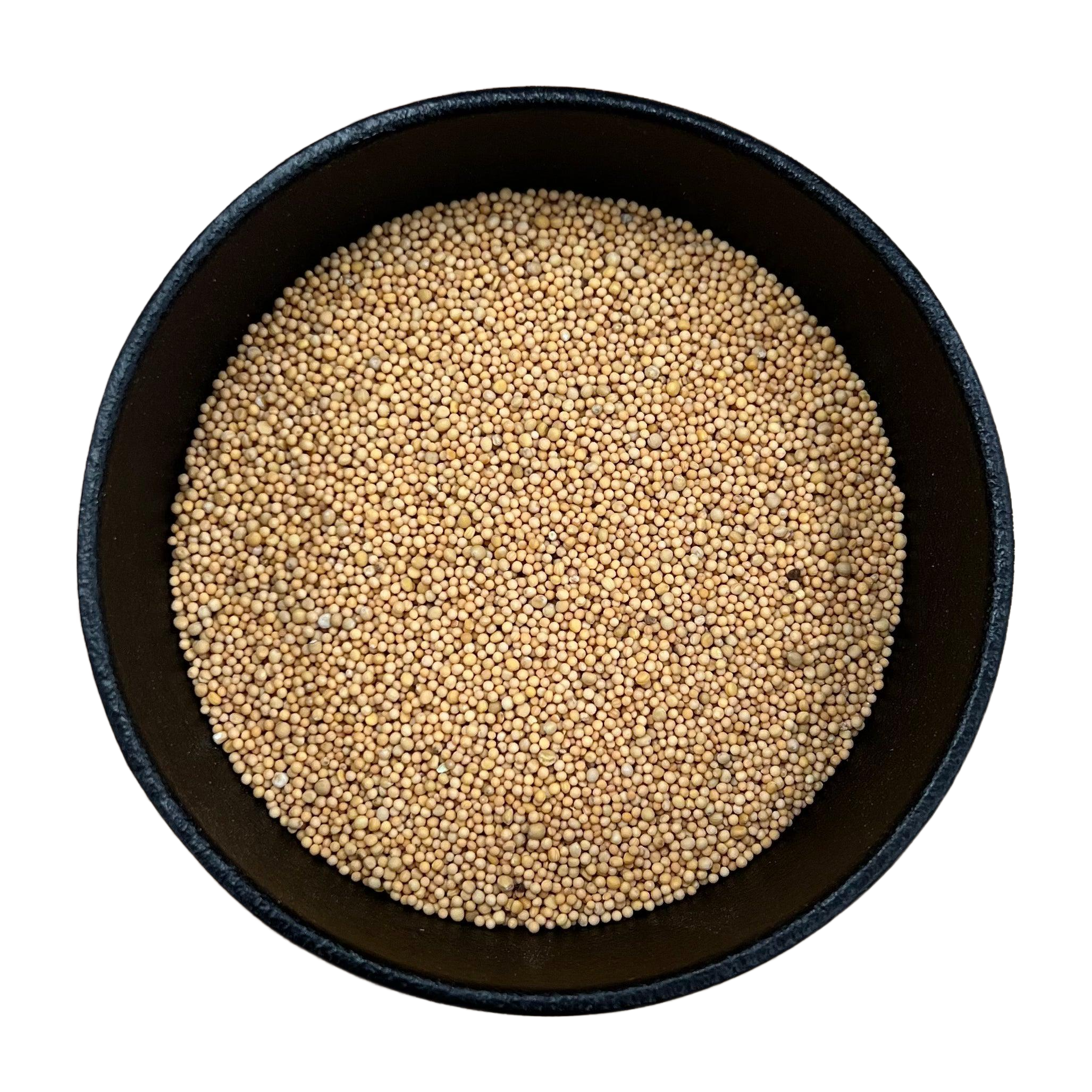 Yellow Mustard Seed Whole (Sinapis Alba)-2