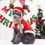Cozy Canine Christmas Sweater: Festive Pet Apparel For The Holidays-0